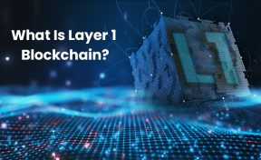 Layer 1 Blockchain: Everything You Need To Know